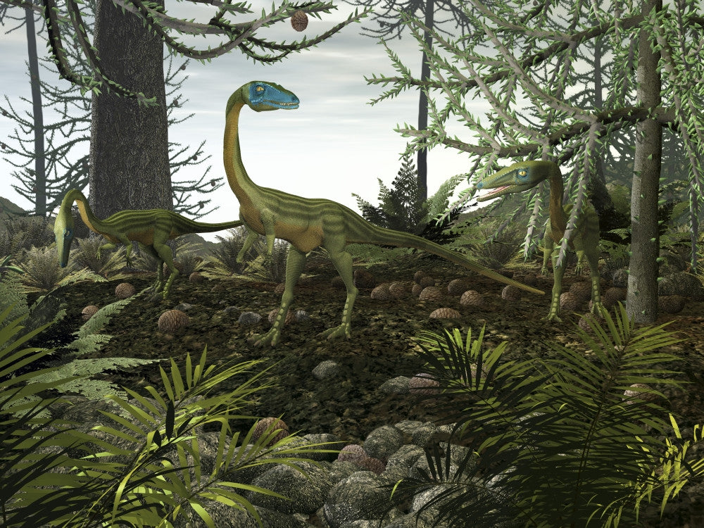 Coelophysis Dinosaur Forest Scene Poster Print - VARPSTWMY100171P