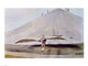 Otto Lilienthal Flying Experiments Fine Art Print - 24x18