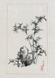 Japan: Bamboo Fine Art Print by Settei Hasegawa, 1878