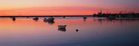 Boats at Sunset in Provincetown, Cape Cod Fine Art Print