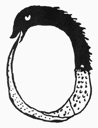 Ouroboros Fine Art Print - 11th Century Alchemical Illustration