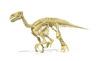 3D Iguanodon Dinosaur Skeleton Fine Art Print - Perspective View