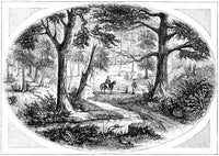 South Carolina Battlefield - King’s Mountain Battle Wood Engraving Print
