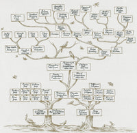 Guggenheim Family Tree Fine Art Print by Science Source