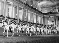 Vienna Riding School Fine Art Print - Lipizzan Horses