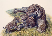 Smilodon Sabertooth Mother and Cubs Fine Art Print by Mark Hallett