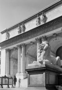 New York Public Library Fine Art Print with Lion Statue