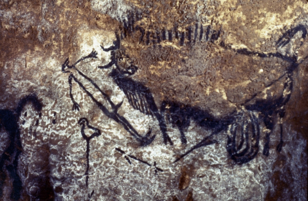 Lascaux: Wounded Bison and Bird-Headed Man Fine Art Print