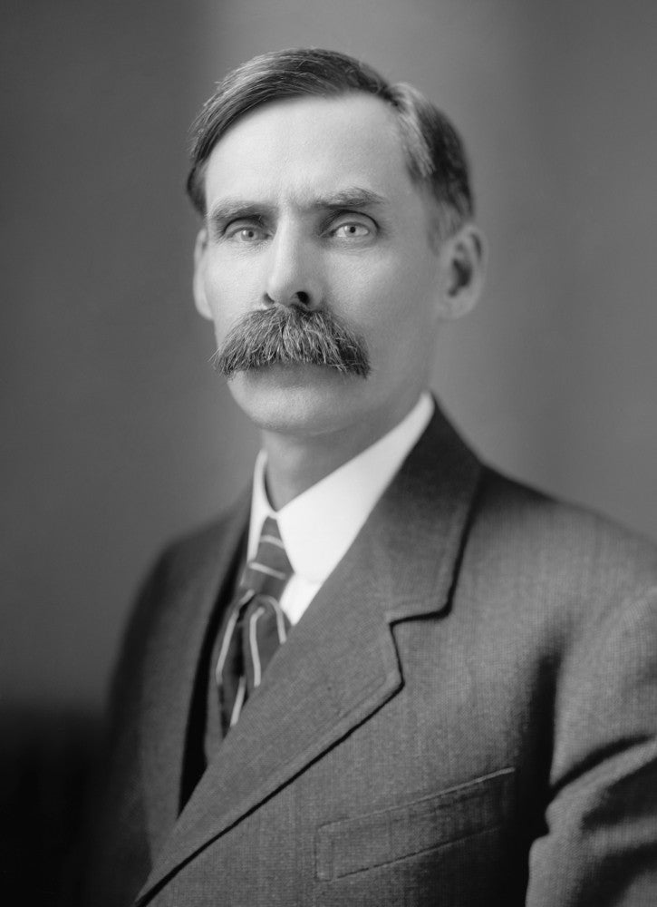Congressman Andrew Volstead Historical Poster Print