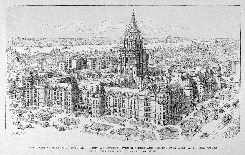 Projected Drawing of the American Museum of Natural History Poster Print