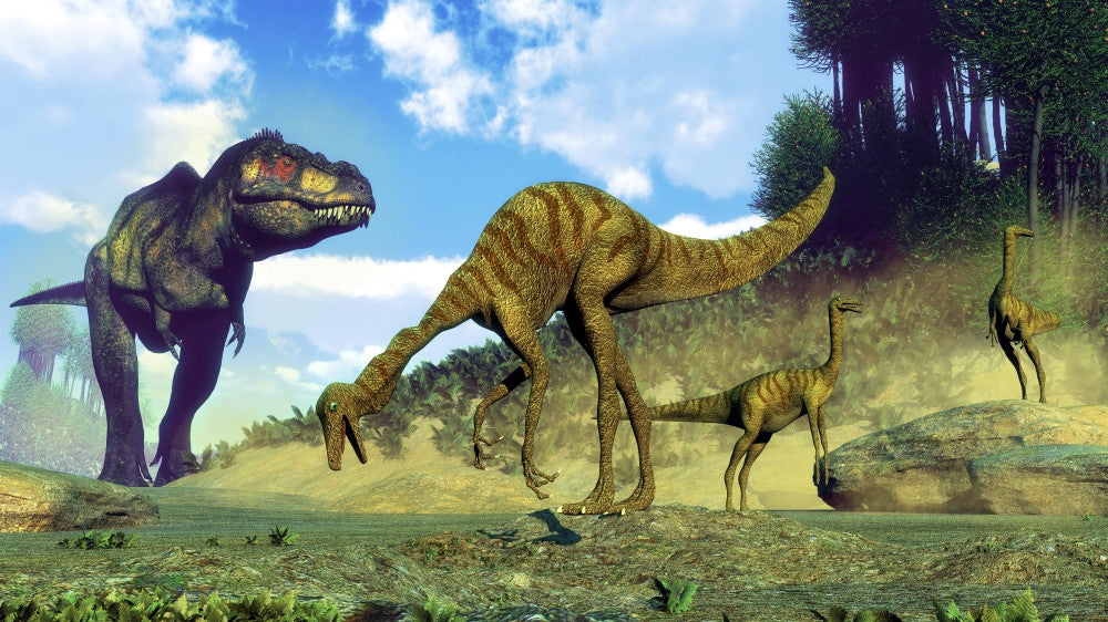 Tyrannosaurus Rex Surprising Gallimimus Dinosaurs Poster Print