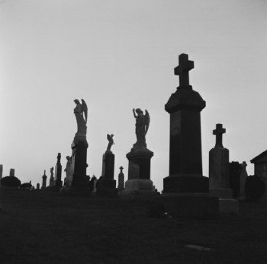 St. Mary's Cemetery Fine Art Print - Lodi, New Jersey