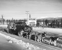 Alaska Dog Sled Scene from 1950 - Fine Art Print by Granger Collection