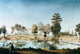The Olivier Plantation 1861 Fine Art Print by Marie Adrien Persac