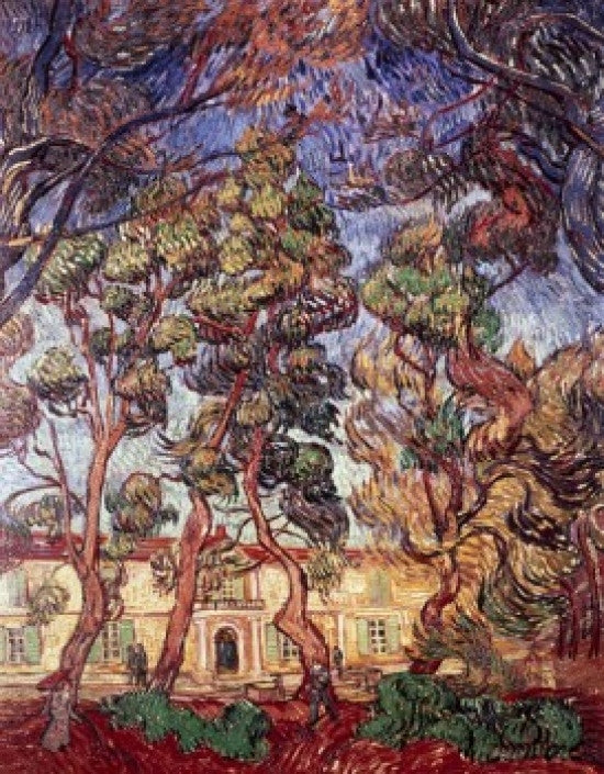 Trees in the Garden of Saint-Paul Hospital Fine Art Print by Vincent van Gogh