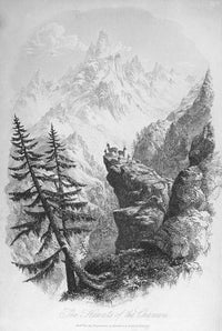 Chamois in Its Native Habitat - 19th Century Line Engraving Fine Art Print