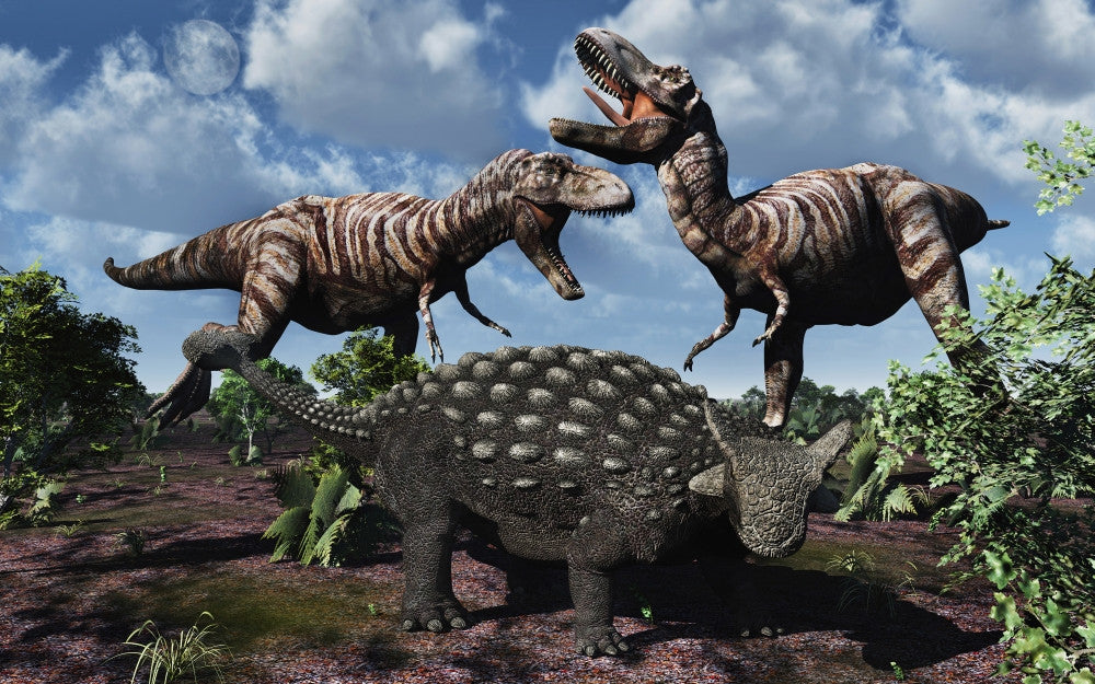 Armored Ankylosaurus vs T-Rex Dinosaurs Fine Art Print by Mark Stevenson