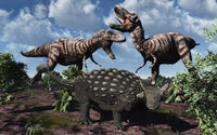 Armored Ankylosaurus vs T-Rex Dinosaurs Fine Art Print by Mark Stevenson