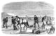 Ice Harvesting Wood Engraving Print from 1859 | Granger Collection