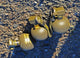 British L2 Hand Grenades Fine Art Print by Andrew Chittock