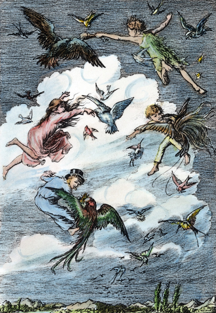 Peter Pan Drawing by Francis D. Bedford - Fine Art Print
