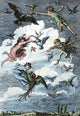 Peter Pan Drawing by Francis D. Bedford - Fine Art Print