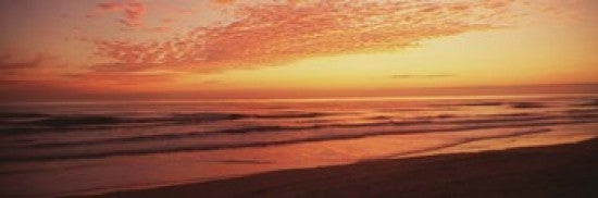 Daytona Beach Florida Photo Print by Panoramic Images - 37x12