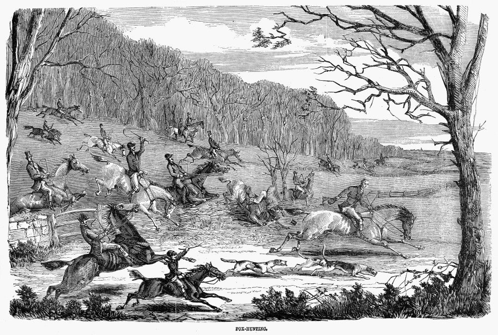 England: Fox Hunt, 1854 - Fine Art Print by Granger Collection