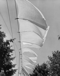 Low Angle View of Clothes Drying on a Clothesline Fine Art Print