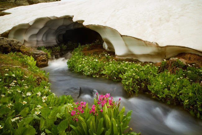 USA Colorado San Juan Mountains Stream Fine Art Print by Jaynes Gallery