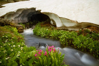 USA Colorado San Juan Mountains Stream Fine Art Print by Jaynes Gallery
