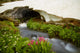 USA Colorado San Juan Mountains Stream Fine Art Print by Jaynes Gallery