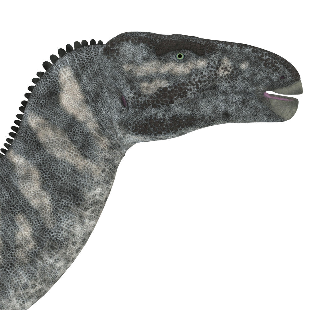 Iguanodon Dinosaur Head Fine Art Print - Cretaceous Period