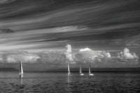 Black and White Sailboats on Puget Sound Fine Art Print by Don Paulson