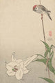 Small Bird on Lily Plant Fine Art Print by Baison