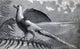 Archaeopteryx Primordial Bird Fine Art Print by Science Source