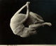 Pompeii Plaster Cast Fine Art Print - Historical Dog Cast Photograph