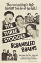 Scrambled Brains Movie Poster (11x17) | Posterazzi