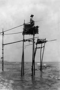 Japan: Fisherman on Bamboo Tower Fine Art Print, C1890