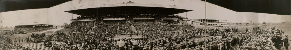 Panorama of the 1915 Heavyweight Boxing Championship Match Poster Print