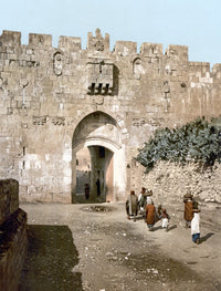 Jerusalem Lion's Gate Photochrome Print - C1900 | Posterazzi