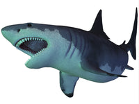 Megalodon Shark Fine Art Print - Prehistoric Predator Poster