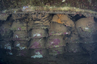 Land Mines on the San Francisco Maru Shipwreck Poster Print by Brandi Mueller
