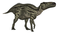 Shantungosaurus Dinosaur Fine Art Print - White Background