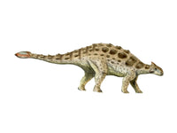 Ankylosaurus Cretaceous Period Fine Art Print