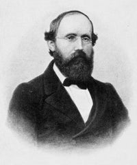 Bernhard Riemann 19th Century Engraving Poster Print by Granger Collection