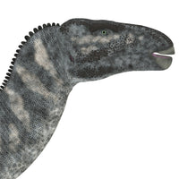Iguanodon Dinosaur Head Fine Art Print - Cretaceous Period