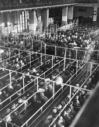 Ellis Island Clearance Lines in 1906 Registry Room Poster Print