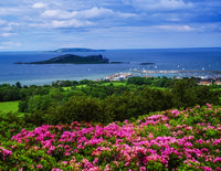Sutton, Howth Head in Dublin Bay Fine Art Print by The Irish Image Collection