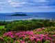 Sutton, Howth Head in Dublin Bay Fine Art Print by The Irish Image Collection